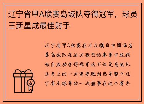 辽宁省甲A联赛岛城队夺得冠军，球员王新星成最佳射手