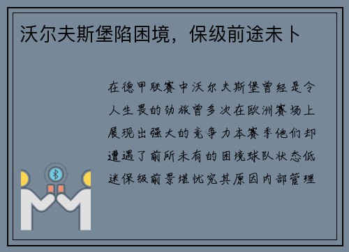 沃尔夫斯堡陷困境，保级前途未卜
