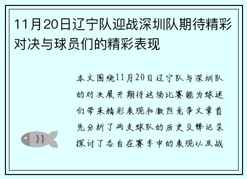 11月20日辽宁队迎战深圳队期待精彩对决与球员们的精彩表现