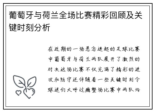 葡萄牙与荷兰全场比赛精彩回顾及关键时刻分析
