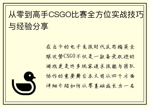 从零到高手CSGO比赛全方位实战技巧与经验分享