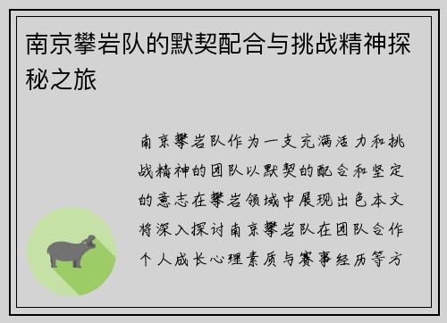 南京攀岩队的默契配合与挑战精神探秘之旅