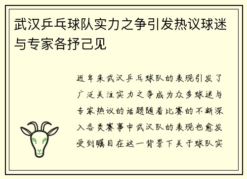 武汉乒乓球队实力之争引发热议球迷与专家各抒己见